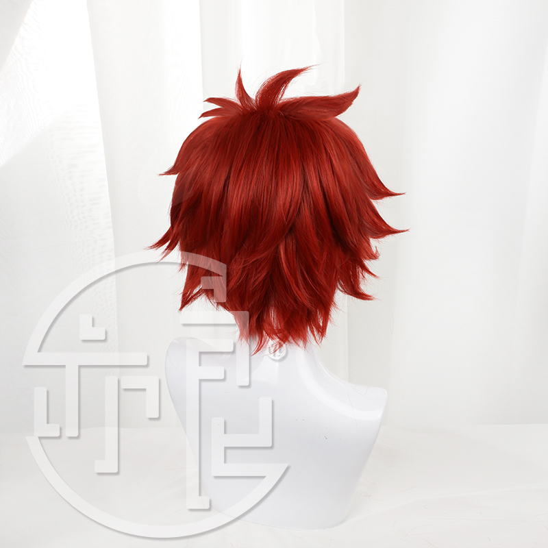Anime SK8 the Infinity Reki Co - Anime Cosplay With Red Hair avaliação e preço