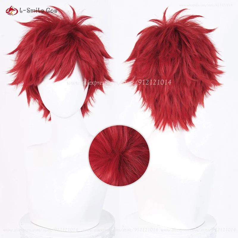 Anime Reinhard Van Astrea Cosp - Anime Cosplay With Red Hair avaliação e preço