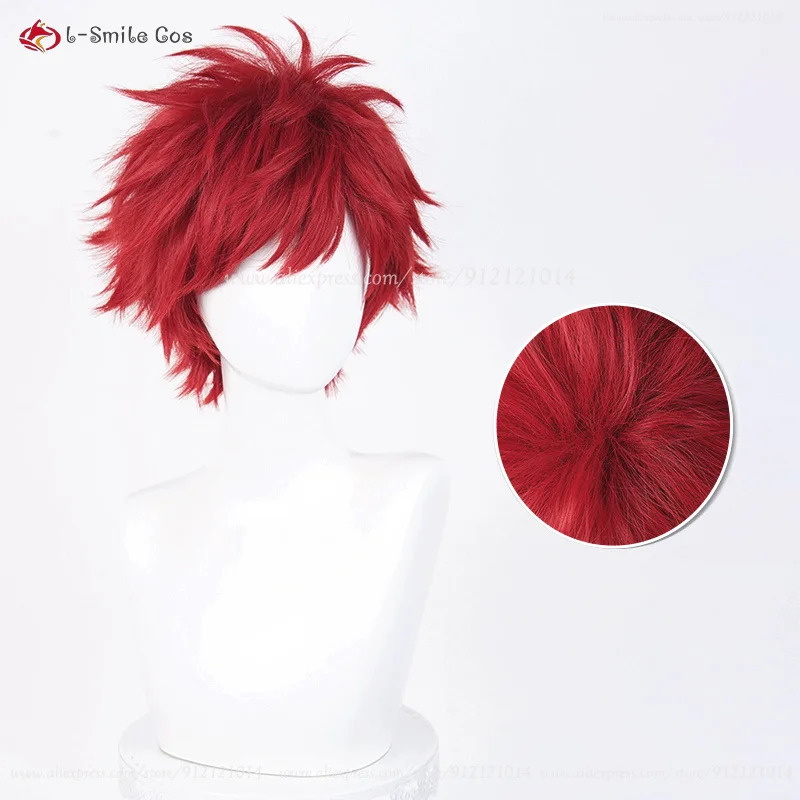 Anime Reinhard Van Astrea Cosp - Anime Cosplay With Red Hair avaliação e preço