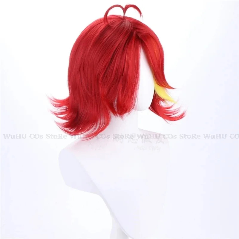 2025 hasbin Cos Niffty Wig Ani - Anime Cosplay With Red Hair avaliação e preço